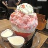 南アルプス八ヶ岳 天然氷のかき氷 ふわりひめ