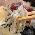 すし処ひしの木 - 