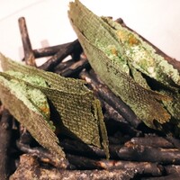 ル スプートニク - 