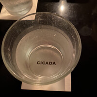 CICADA - 