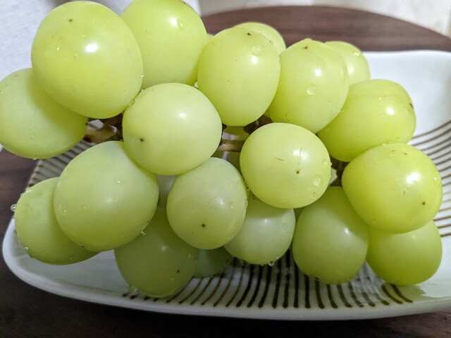 大枝コスモス直売所 - やながわ希望の森公園前（その他）の写真