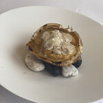 メゾン フジヤ ハコダテ - 