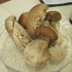 イタリアンレストラン Zucca - フレッシュポルチーニ！