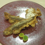 イタリアンレストラン Zucca - 目光のフリット