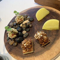 Convivio - （左上）色とりどりの球体のものは「バジル風味のライスコロッケ」
                    （下）「羊のニョッキ」…セモリナ粉を入れた羊のニョッキ羊をラグーソースと一緒に
                    （右上）「サフラン風味の蕪のピクルス」
                    