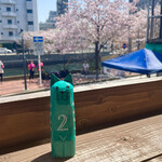 Tinys Yokohama Hinodecho - 猫の番号札と桜の木