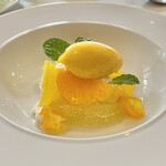 カーザ ヴィニタリア - 