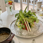 カーザ ヴィニタリア - 