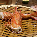 鮨 銀座 おのでら - 