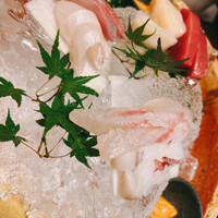 魚匠 銀平 道頓堀店 - お刺身盛り合わせ2人前