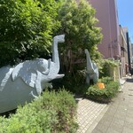 北野坂 こばやし - 象ビル前のゾウ