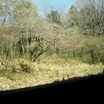 そばの実 一閑人 - 窓からの景色