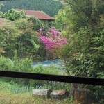 小鳥の樹 - 店内からの眺め