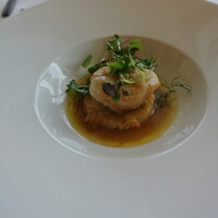 フレンチレストラン ミクニ サッポロ - 魚料理