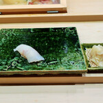 鮨処木はら - 平目