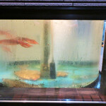 鮨処木はら - 白い暖簾の左側壁面内に活けの水槽が