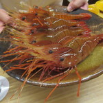 一本杉 川嶋 - 活きボタン海老