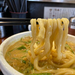 肉汁うどん こうち屋 - やや不揃いのうどんが旨い。