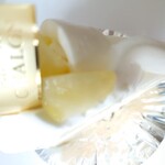 シャロン - メロンショート