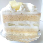 シャロン - メロンショート