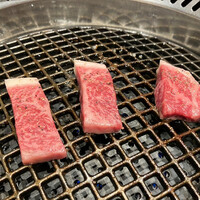 近江牛専門店 万葉 まえだ亭 - 