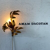 amam dacotan 表参道店