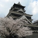 清流山水花 あゆの里 - 熊本城と桜