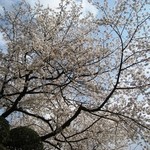 清流山水花 あゆの里 - 