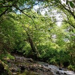 ミカドコーヒー - 