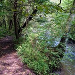 ミカドコーヒー - 