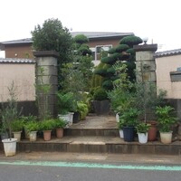 restaurant KAM﻿ - 