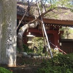 Soba Gochisou Monzen - 山門