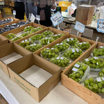 保命園 - シャインマスカットと巨峰