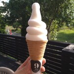9ソフトクリーム - 料理写真:トンカミルクのソフトクリーム