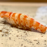 菊鮨 - ⑩車海老（玄界灘）〜車海老は天草産だけではない