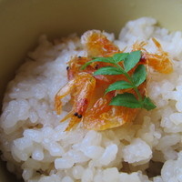 紀尾井 なだ万 - 新筍と桜海老御飯の蒸籠蒸し　木の芽