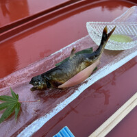 京料理 先斗町 富美家 - 