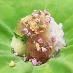 日本料理 晴山 - 