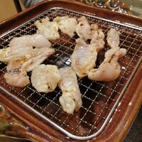 京かのこ - 