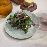 ナベノ-イズム - 