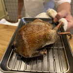 シャントレル - 