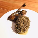 マキノンチ - へた紫なす、ピジョン