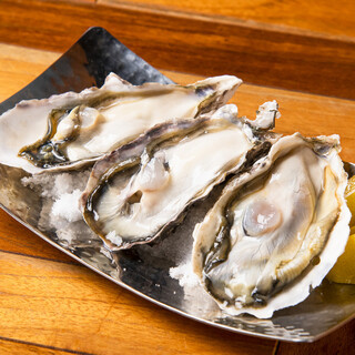 Enjoy our carefully selected Oyster ☆