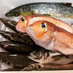 おばんざい椿 - 