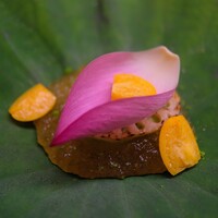 道人 - 蓮根餅のずんだと焼いた蓮根を重ねて。たっぷりのジュレかけ。
