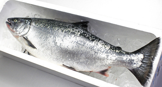 藤岡青果店 - 鷹ノ巣（その他）の写真