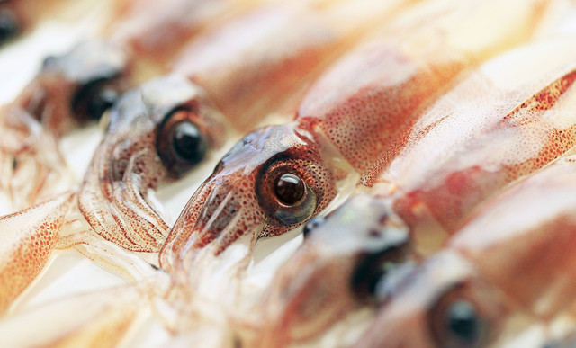 藤岡青果店 - 鷹ノ巣（その他）の写真