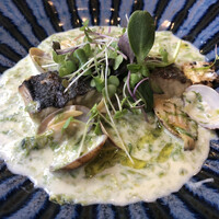 トラットリア イル レガーロ - サゴチのアサリとアオサのクリームソース