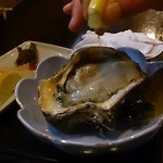 しきの - 生ガキ