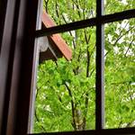 ビストロ ヴァンルージュ - 